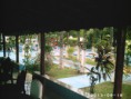 /album/galeria-de-fotos/phot0002-jpg/